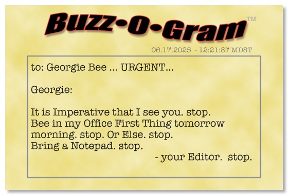 6-17.2025-BuzzOGram